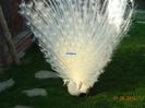 DSC00200