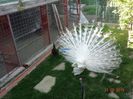 DSC09889