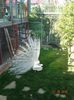 DSC09961