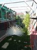DSC09966