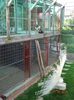 DSC09968