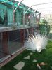 DSC09971