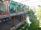 DSC09987