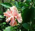 IMG_20150605_211338