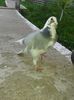 20150522_201802 - Copy