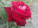 OSSIRIA