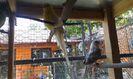 20150606_103930