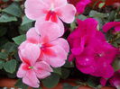 DSCN5758