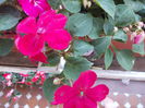 DSCN5759