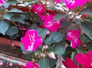 DSCN5760