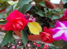 DSCN5762