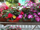 DSCN5783