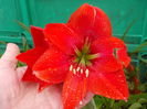DSCN5748