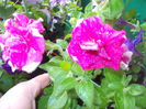 DSCN5749