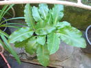 DSCN5808