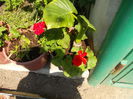 DSCN5818