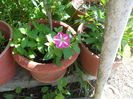DSCN5824