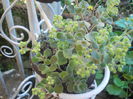 DSCN5831