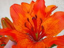 DSCN5846