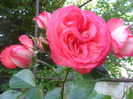 SAM_5676