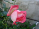 SAM_5679