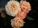 SAM_5680