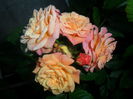 SAM_5681