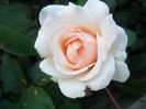 SAM_5687