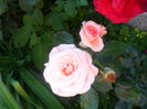 SAM_5692