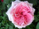 SAM_5704