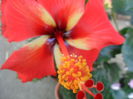 SAM_5790