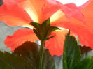 SAM_5791