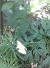20150607_122419