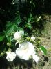 20150607_122433