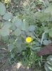 20150607_122453