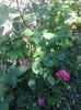 20150607_122458