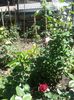 20150607_122559