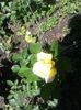 20150607_122628
