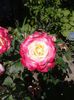 20150607_102007