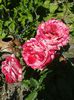20150607_102031