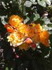 20150607_102056