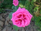 DSC08258