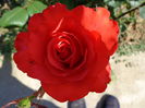 DSC08260