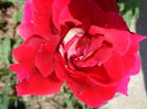 DSC08268