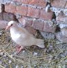 IMG_20150607_181105