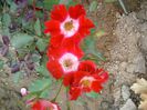 20150605_154421