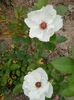 20150605_154904