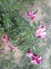 20150606_072807