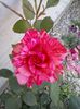 20150606_183320