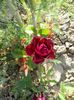 20150607_074340